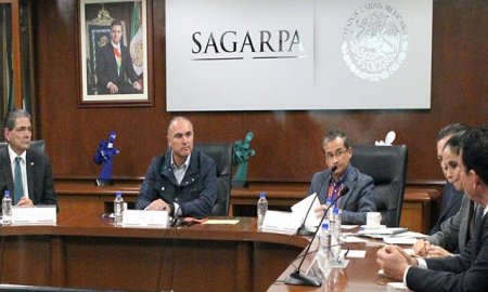 ANALIZAN SAGARPA Y EXPERTOS EN ASEGURAMIENTO AL MEDIO RURAL MECANISMOS DE PROTECCIÃ“N EN EL CAMPO