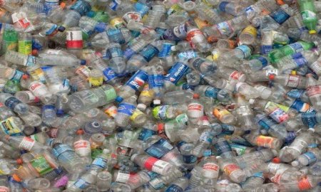 PRESENTAN INICIATIVA PARA PROHIBIR EL USO DEL PET