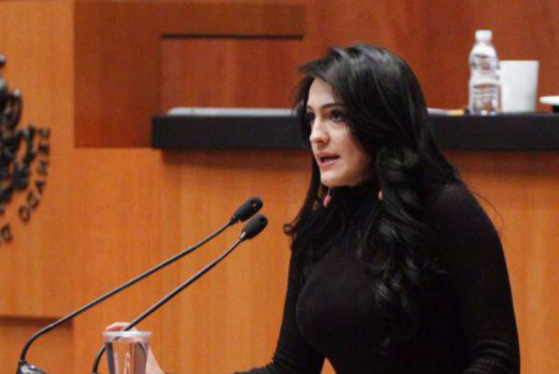 Los senadores del PRD expresan amplia solidaridad con la senadora Iris Vianey Mendoza