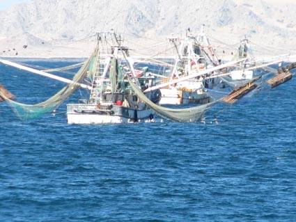 Cobro de tarifas para pesca en Baja California