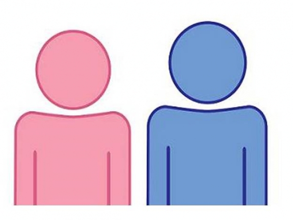 Demanda Inmujeres evitar retrocesos en agenda de iguladad de g&eacute;nero