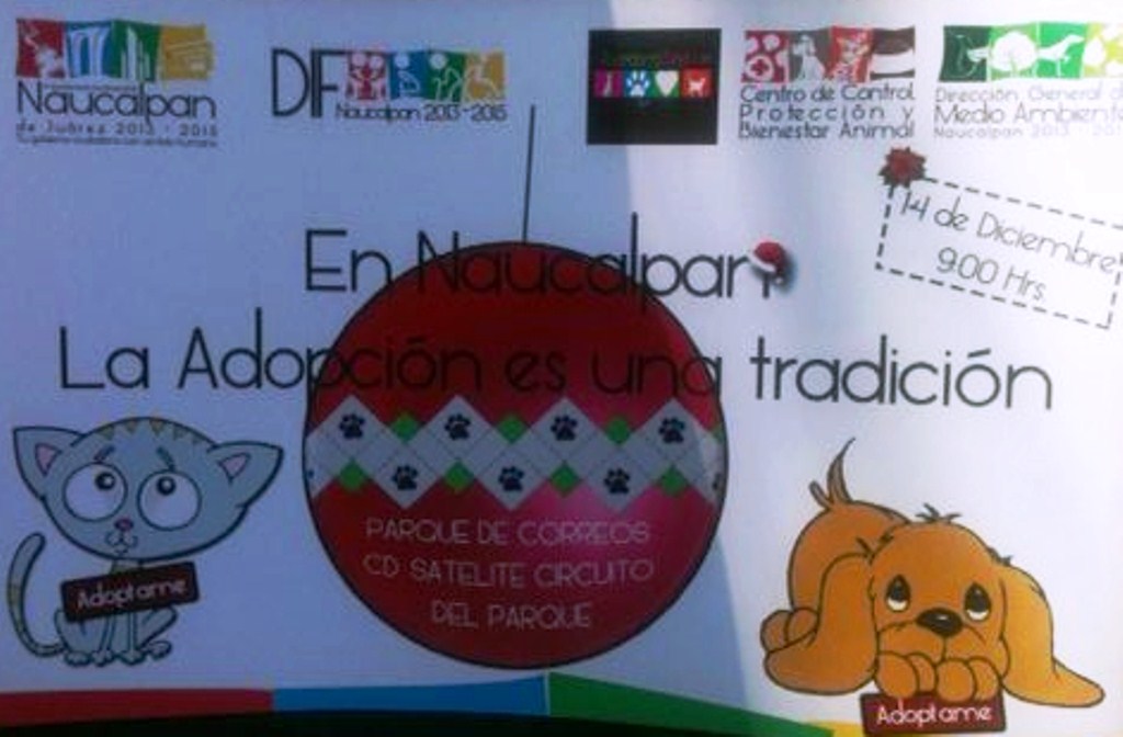 INVITA NAUCALPAN A MAGNA PASARELA DE ADOPCIÓN DE MASCOTAS