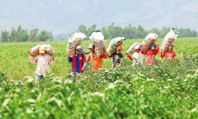 Política Agroalimentaria Nacional