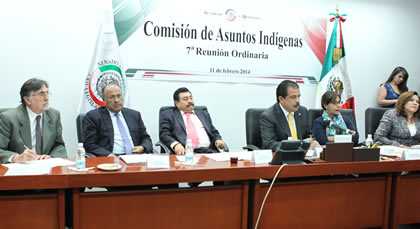 Senado avala reforma para que derecho a la información se ejerza también en lenguas indígenas