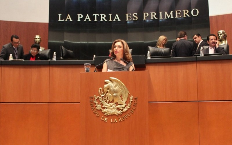 Propone la senadora Angélica Araujo endurecer penas por pesca y comercialización ilegal del pepino de mar