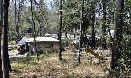 VERIFICAN INVASIONES AL BOSQUE DE LOS REMEDIOS