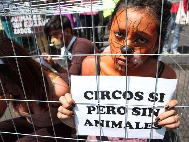 AGRADECEN APOYO PARA QUE CIRCOS SIN ANIMALES SEAN UNA REALIDAD EN DF