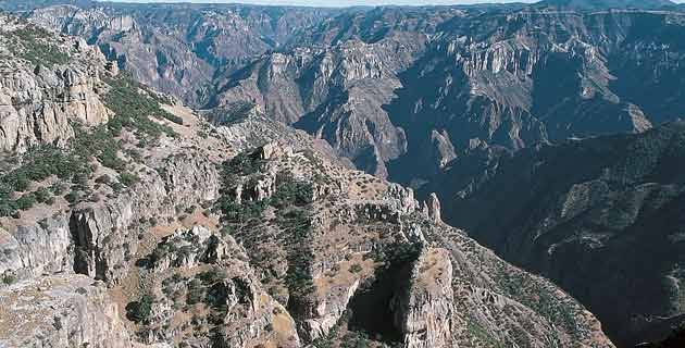 Presentarán exhorto para atender problemática de la Sierra Tarahumara