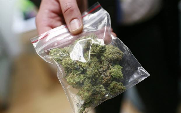VAN POR LA NO DISCRIMINACIÓN DE CONSUMIDORES DE MARIGUANA EN PRÓXIMO EXTRAORDINARIO