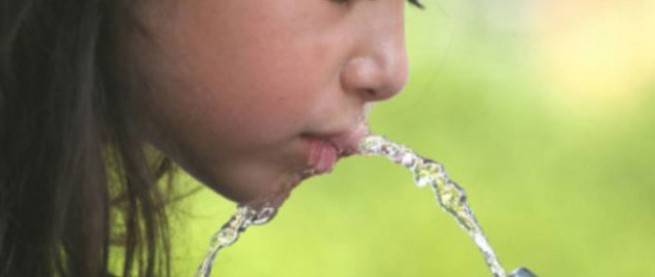INSTALARÃN BEBEDEROS DE AGUA POTABLE EN DF