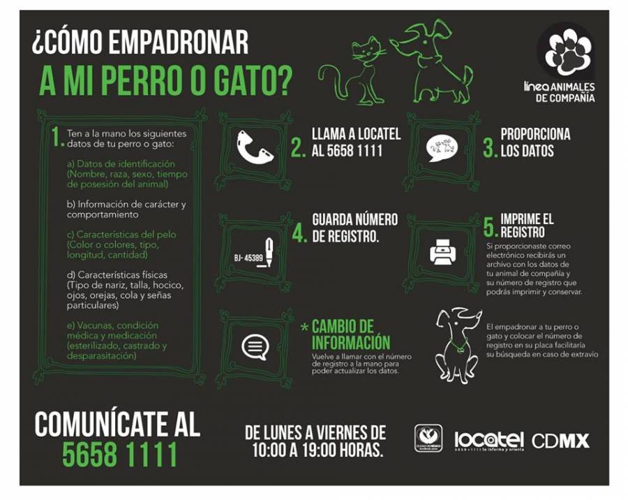 LAS MASCOTAS DEL DF TENDRÃN QUE USAR CHIP