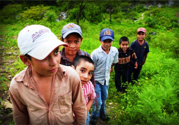Dotar presupuesto necesario a instituciones defensoras de niñas, niños y adolescentes