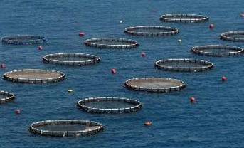 Inicia Primer Foro parlamentario de Pesca y Acuacultura.