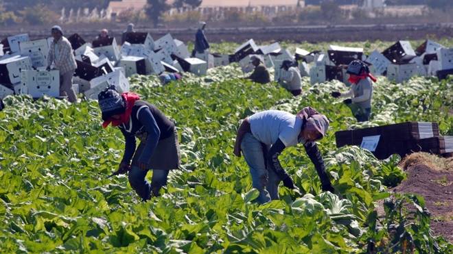 Congreso busca proteger derechos de jornaleros