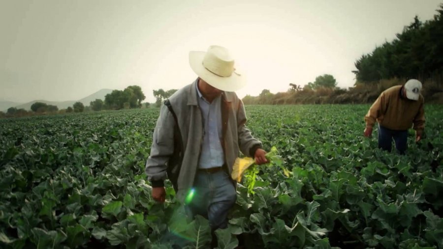 Llama la atención diputado Jesús Zambrano sobre el descuido en la inversión para el campo