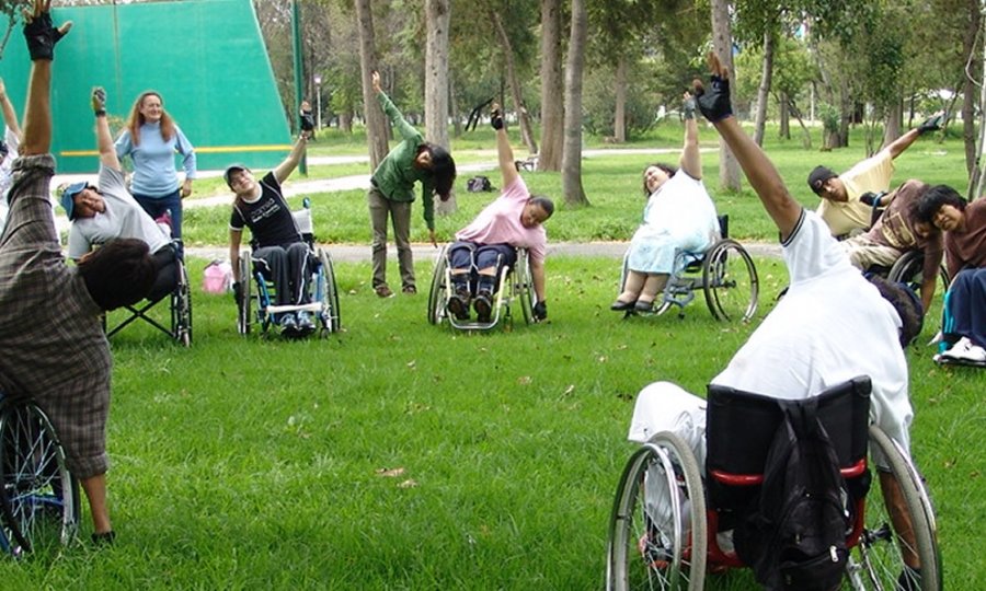 Programas y acciones en favor de las personas con discapacidad