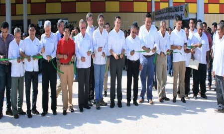 Productores de miel logran ventas al exterior por 144.7 millones de dÃ³lares