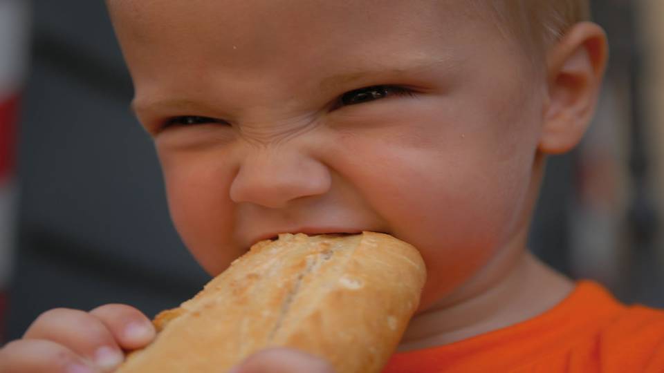 A¿Masticar más y comer menos? podría funcionar