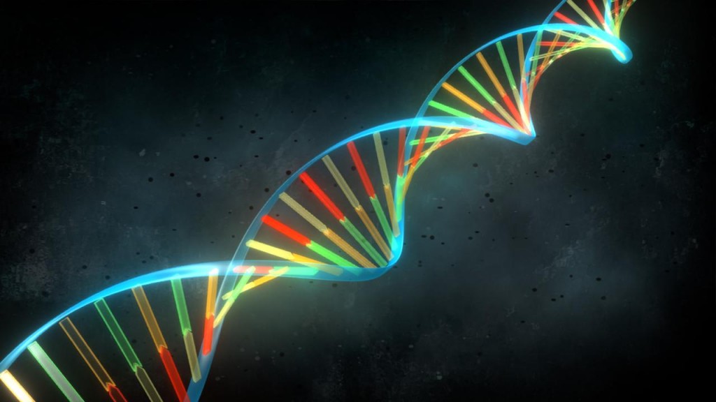 El ADN puede servir para predecir una estatura inusualmente alta, según un estudio