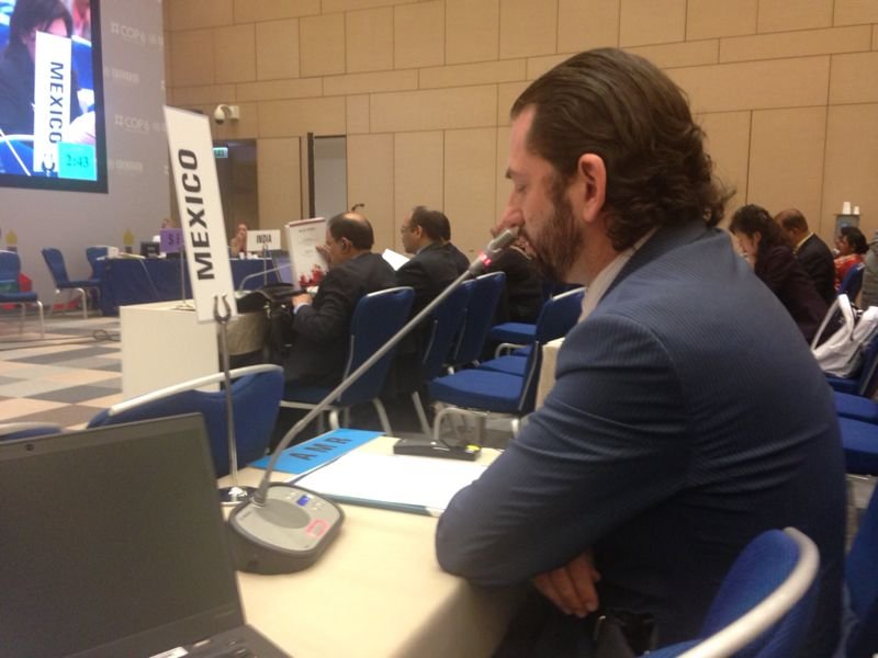 MÉXICO REITERA SU COMPROMISO CON EL CONTROL DEL TABACO EN EL ÃMBITO INTERNACIONAL