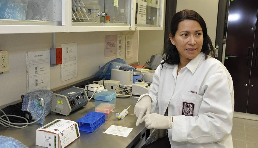 DESARROLLA IPN TÉCNICA ECONÓMICA PARA DIAGNOSTICAR VIRUS DE PAPILOMA HUMANO