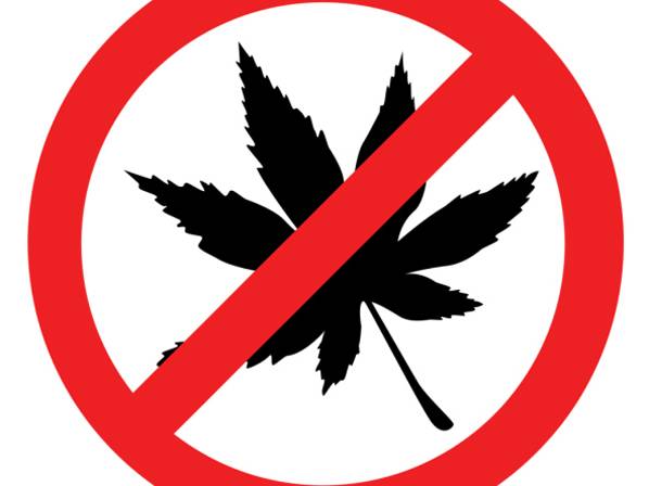 SOBRAN ARGUMENTOS PARA RECHAZAR REGULACIÓN DEL CONSUMO MARIHUANA