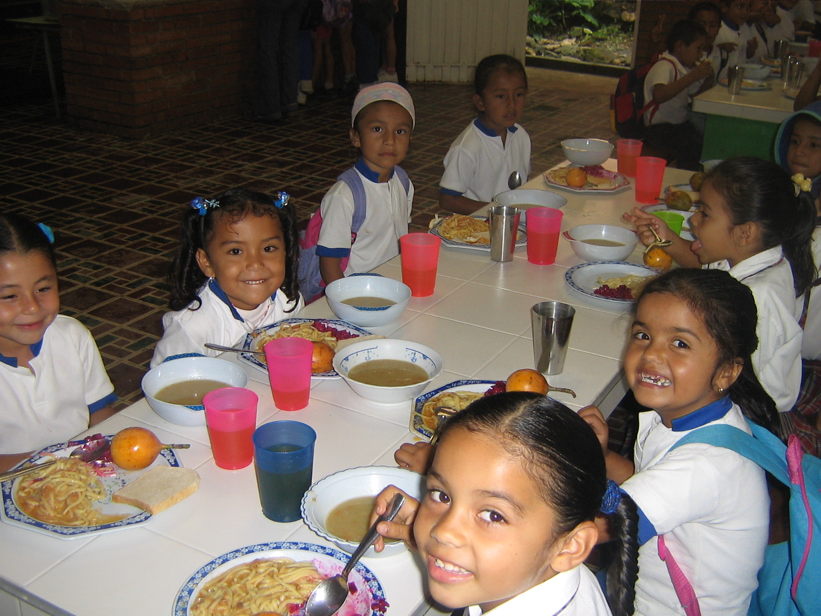 Estado obligado a garantizar alimentación a todo mexicano, en especial a niñas, niños y adolescentes: senadores priistas.