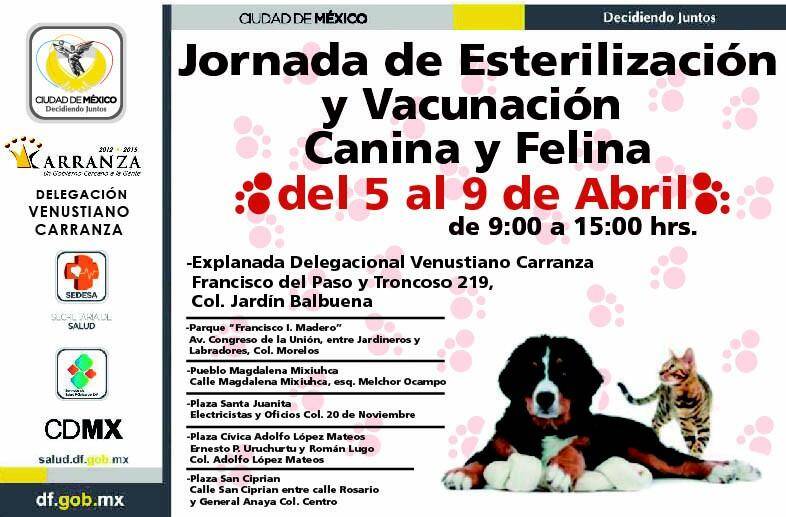 SÉ UN DUEÑO RESPONSABLE A¡ESTERILIZA Y VACUNA A TU MASCOTA!