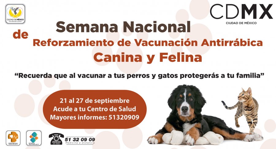 INICIA SEMANA NACIONAL DE REFORZAMIENTO DE VACUNACIÃ“N ANTIRRÃBICA PARA PERROS Y GATOS EN LA CDMX