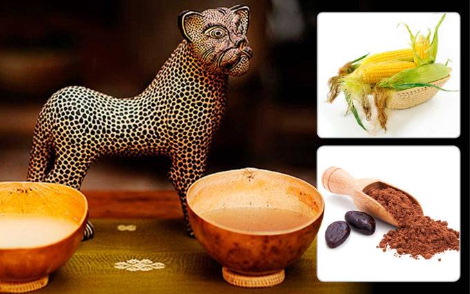 Elaboran en la UNAM bebida probiÃ³tica benÃ©fica para la nutriciÃ³n y la salud