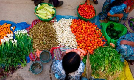 LA SECRETARÃA DE SALUD RECOMIENDA VIGILAR EL BUEN ESTADO DE LOS ALIMENTOS