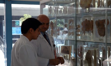 EL HGM TIENE UN MUSEO DE PATOLOGÃA INTEGRADO POR MÃS DE MIL PIEZAS ANATÃ“MICAS