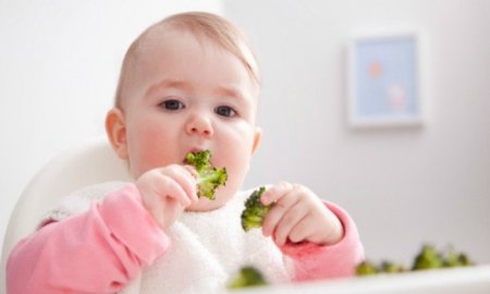 A PARTIR DE LOS SEIS MESES DE VIDA, SE DEBEN CONSUMIR VERDURAS Y FRUTAS