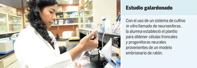 Investigación en la UNAM indica función relevante de la taurina en el desarrollo de células troncales
