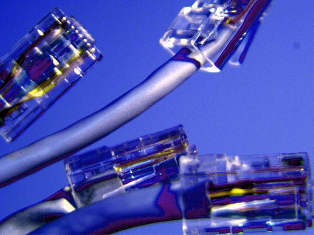 Internet garantiza de manera plena el derecho a la libre información; debe ser gratuito