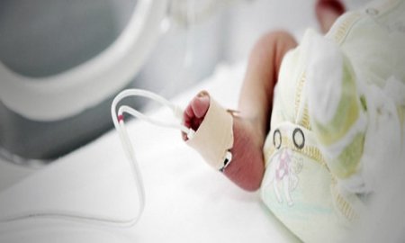 Mexicanos desarrollan primer ultrapasteurizador de leche materna