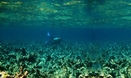 Con globos y drones registran arrecifes en MÃ©xico