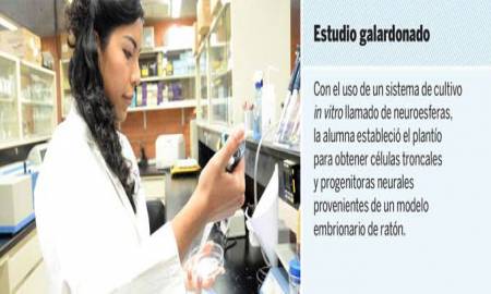 InvestigaciÃ³n en la UNAM indica funciÃ³n relevante de la taurina en el desarrollo de cÃ©lulas troncales