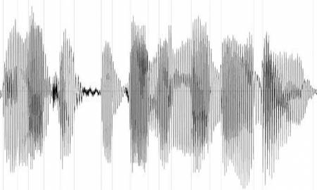 Nuevo mÃ©todo para validar registros de voz en procesos judiciales creado en la UNAM