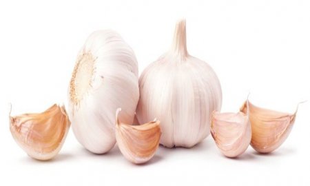 Busca universitaria secuenciar genoma de parÃ¡sito de plantÃ­os