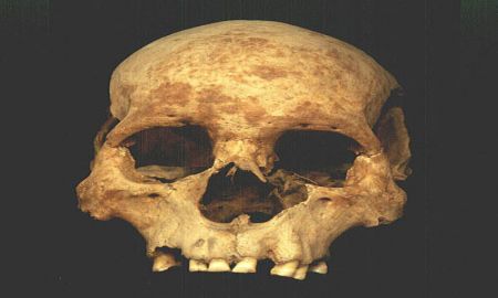 RESTOS Ã“SEOS DEMUESTRAN QUE LOS MEXICAS PRACTICABAN LA ANTROPOFAGIA