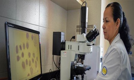 Investigadora mexicana dedica su esfuerzo al estudio del cÃ¡ncer infantil