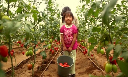 PARA PROMOVER Y FOMENTAR LA CULTURA CIENTÃFICA, CANAL ONCE ESTRENA CIENCIA EN MÃ‰XICO
