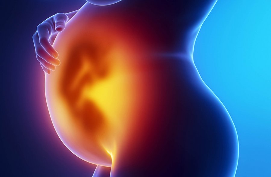 NECESARIOS, CAMBIOS A LA LEGISLACIÓN EN MATERIA DE REPRODUCCIÓN ASISTIDA