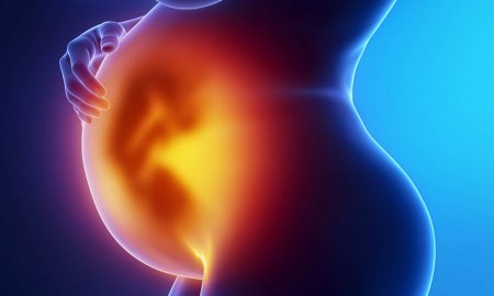 NECESARIOS, CAMBIOS A LA LEGISLACIÃ“N EN MATERIA DE REPRODUCCIÃ“N ASISTIDA