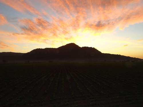 CERRO DE COAMILES, EMBLEMÃTICO ESPACIO RITUAL DE LA CULTURA AZTATLÃN