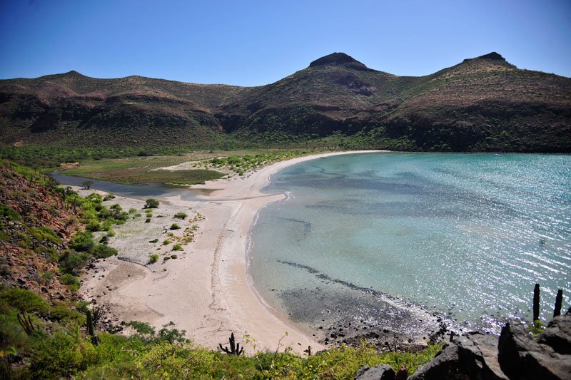 LAS ISLAS DEL MAR DE CORTÉS, 10 AÑOS COMO PATRIMONIO MUNDIAL