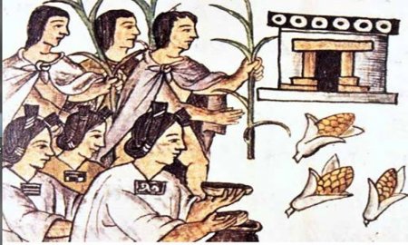 SALSA DE MOLCAJETE â€œDA SABORâ€ AL CENTRO COMUNITARIO DE CULHUACÃN