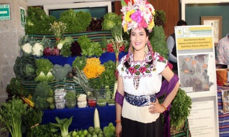 Anuncian ChinamperÃ­as, un encuentro entre horticultores y restauranteros de CDMX