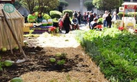 ANUNCIA TORRUCO CHINAMPERÃAS, UN ENCUENTRO ENTRE HORTICULTORES Y RESTAURANTEROS